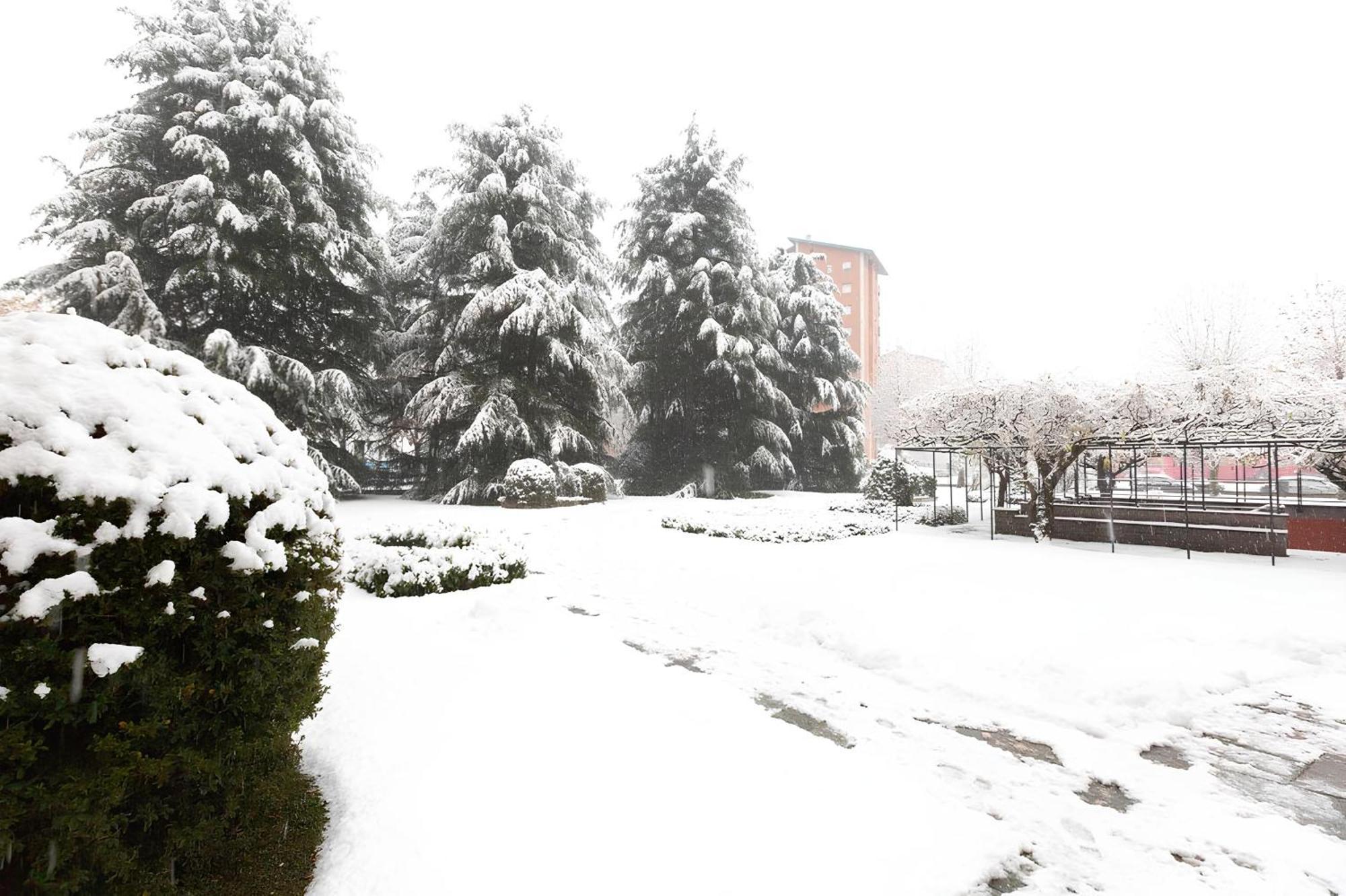 I Cedri * Turin